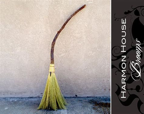 Elder witch broom